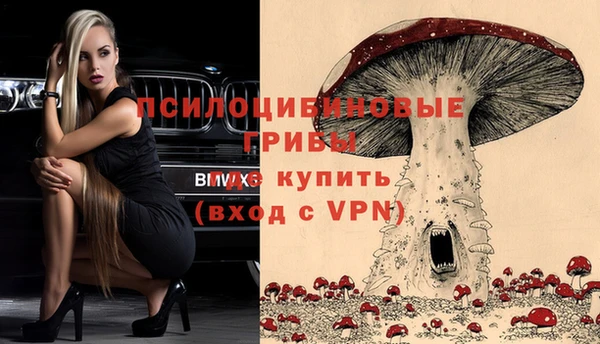 героин Алзамай