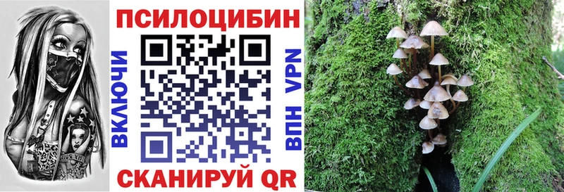 Псилоцибиновые грибы MAGIC MUSHROOMS  закладка  Орск 